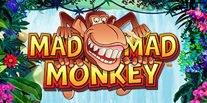 Mad Mad Monkey