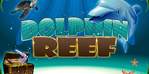 Dolphin Reef