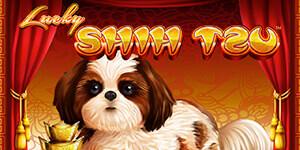 Lucky Shih Tzu Linked Progressive